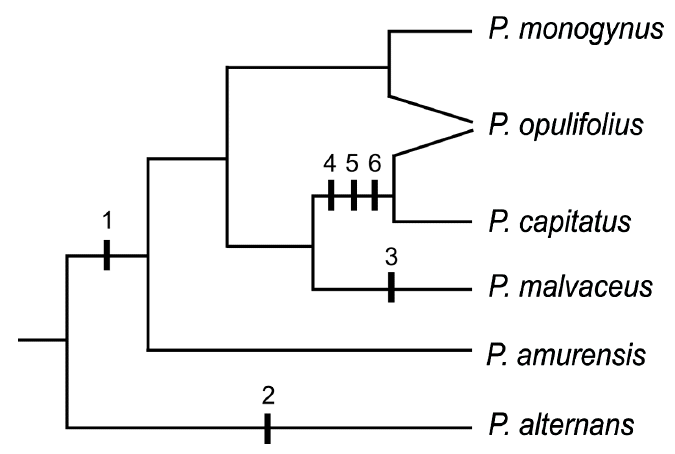 Fig 3.