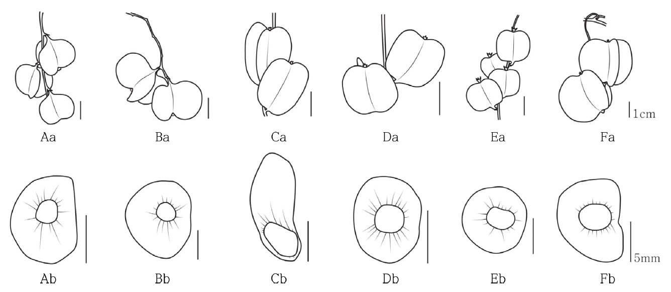 Fig 10.