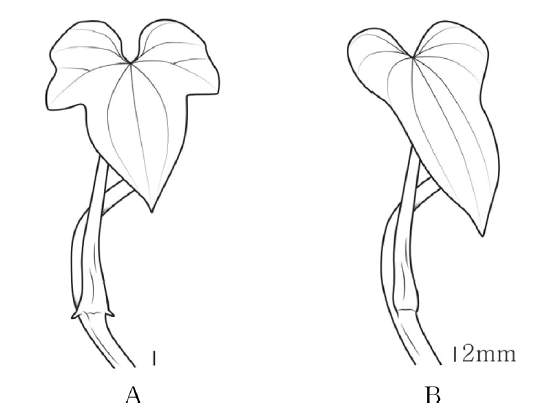 Fig 3.