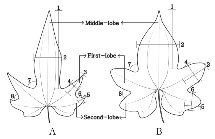 Fig 5.