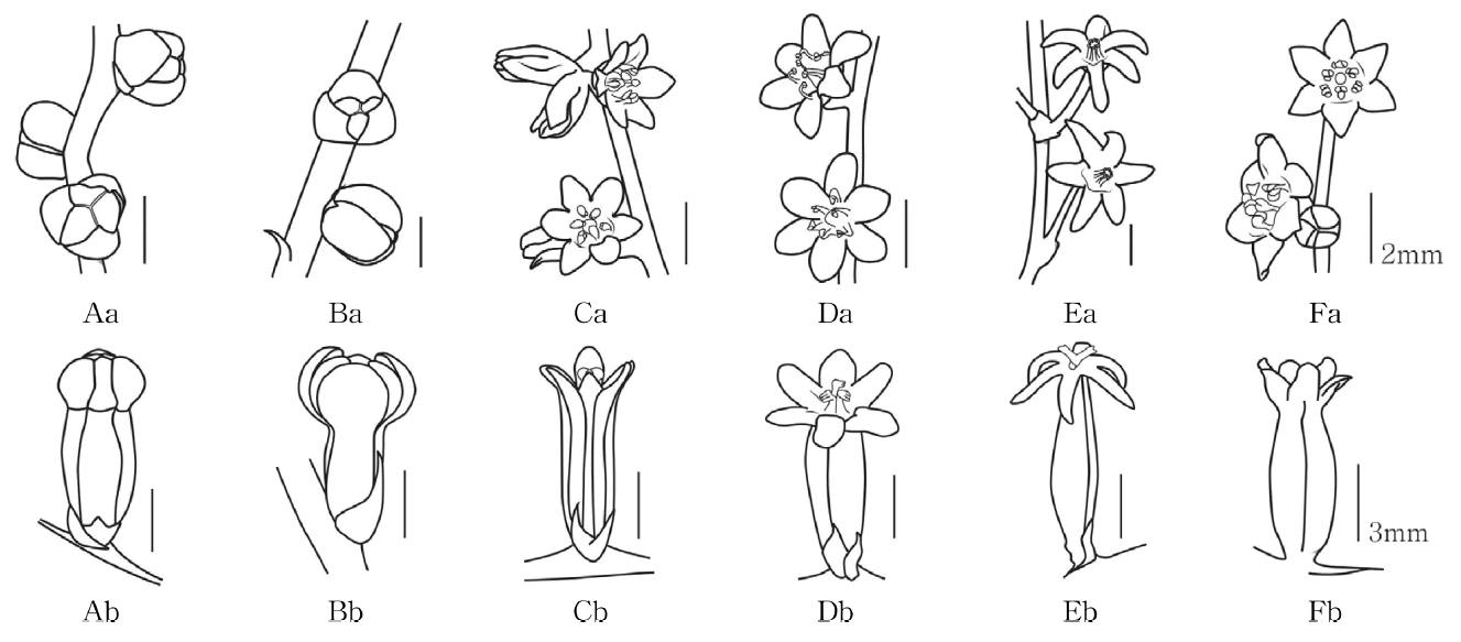 Fig 8.