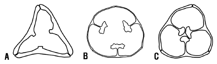 Fig 7.